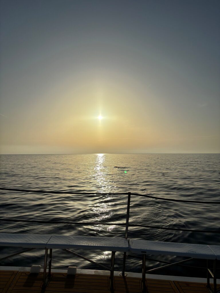 Auf dem Katamaran schaukelt es wie im Mutterleib!